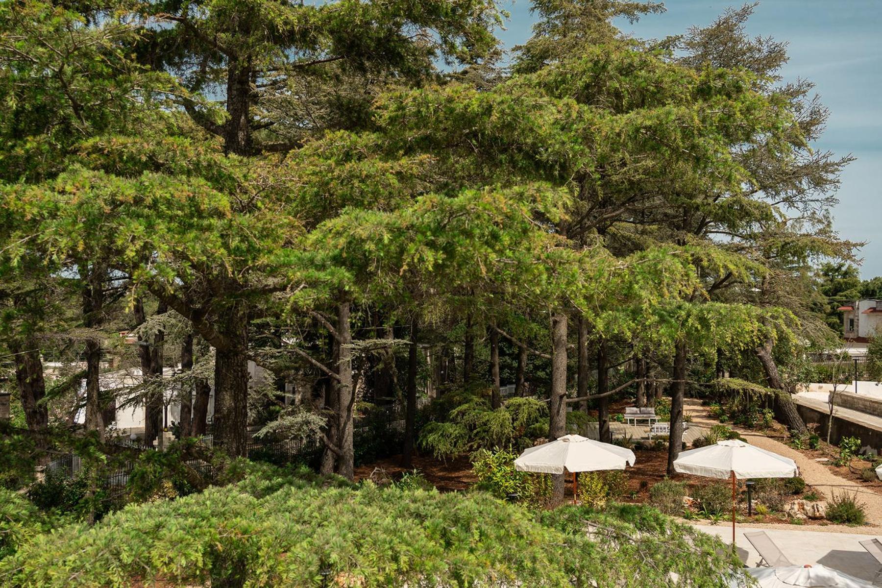Borgo Lucia Villa Selva Di Fasano Eksteriør bilde