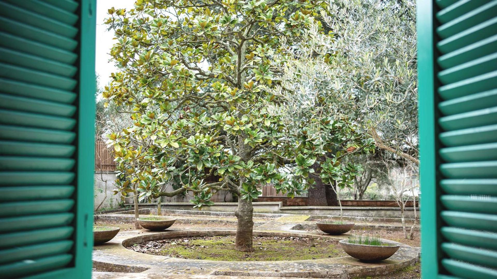 Borgo Lucia Villa Selva Di Fasano Eksteriør bilde